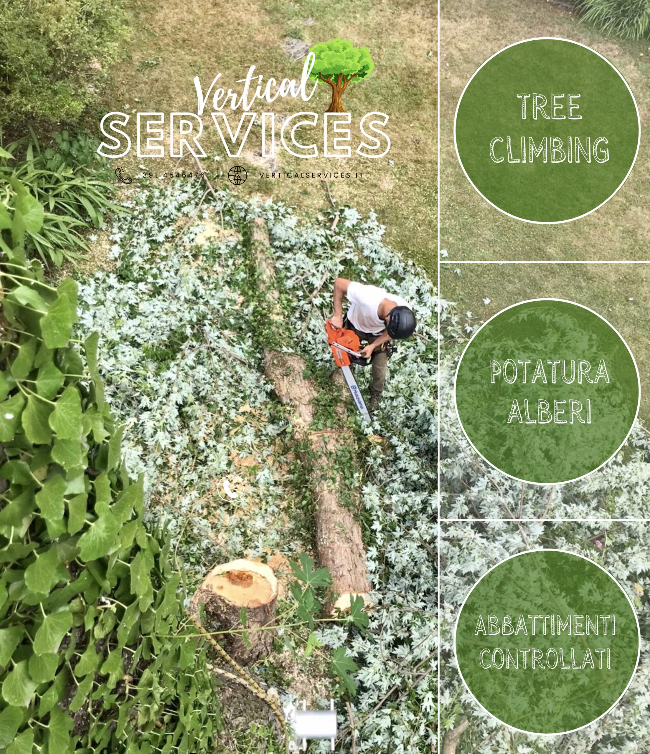 Potatura, cura e abbattimento alberi in tree climbing